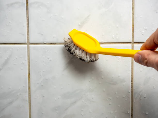 Best Toxic Mold Removal  in Enlow, PA