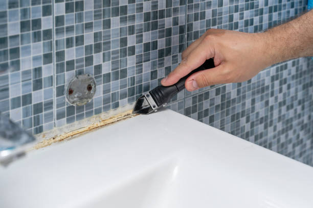 Best Commercial Mold Removal  in Enlow, PA